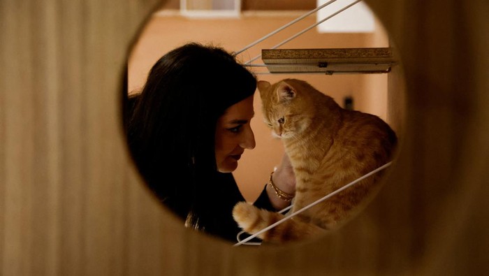 Sensasi Ngopi Ditemani Kucing-kucing Gemas di Irak Men sit in a special cafe with cats, which is the first of this kind in the city of Erbil, that allows customers to play with cats, and helps to raise and not harm them, in Erbil, Iraq, February 26, 2024. REUTERS/Khalid Al-Mousily