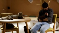Salah satu pelanggannya, seorang pecinta kucing, mengatakan bahwa dia mencoba untuk sesekali membawa keluarga dan ibunya yang menderita ailurofobia ke kafe ini agar mereka dapat melihat kucing-kucing tersebut dan memahami bagaimana dunia memperlakukan mereka.  