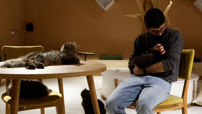 Men sit in a special cafe with cats, which is the first of this kind in the city of Erbil, that allows customers to play with cats, and helps to raise and not harm them, in Erbil, Iraq, February 26, 2024. REUTERS/Khalid Al-Mousily