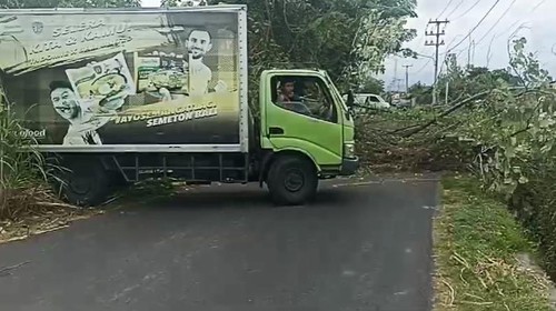 Truk boks yang sempat tertimpa pohon tumbang saat dipindahkan, Selasa (5/3/2024). (Istimewa).