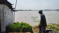 Para petani di Dusun Gempal, Mojokerto harus menunda proses tanaman padi akibat dilanda banjir.