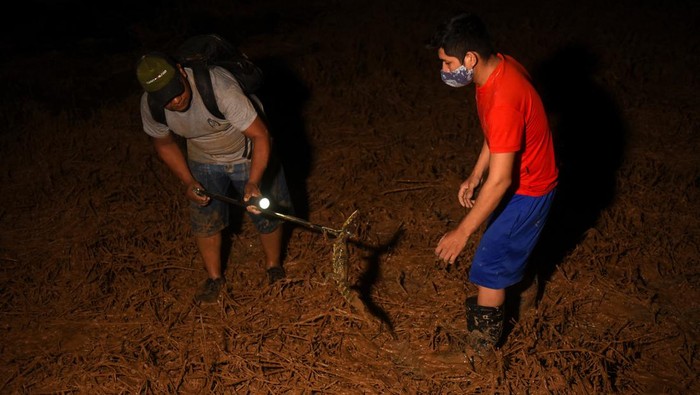 Aksi Pecinta Hewan Selamatkan Satwa Liar dari Banjir Bolivia Volunteers hold three baby caimans rescued from the urban area in order to return them to their natural habitat, in Cobija, Bolivia March 1, 2024. REUTERS/Claudia Morales