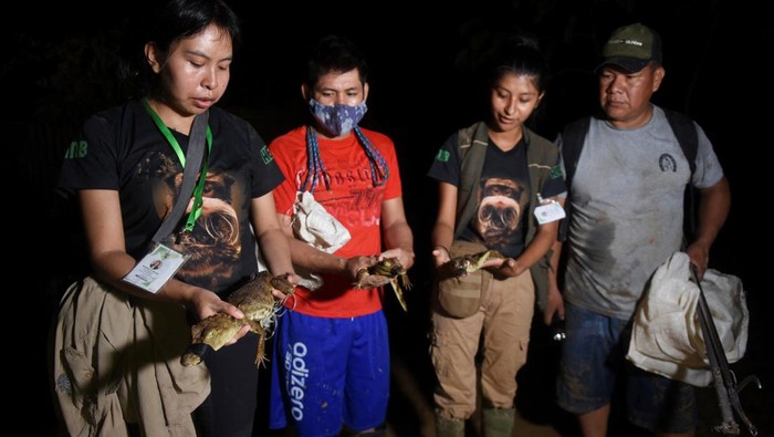 Aksi Pecinta Hewan Selamatkan Satwa Liar dari Banjir Bolivia Volunteers hold three baby caimans rescued from the urban area in order to return them to their natural habitat, in Cobija, Bolivia March 1, 2024. REUTERS/Claudia Morales