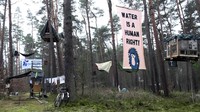Sejumlah aktivis membangun rumah pohon di hutan Groenheide dekat pabrik Tesla, Jerman, Selasa (5/3/2024). (Cevin Dettlaff/dpa via AP)