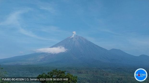 gunung semeru erupsi Rabu, 06 Maret 2024, pukul 06:49 WIB dengan tinggi kolom abu teramati ± 700 m