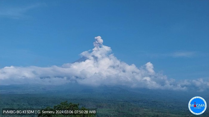 gunung semeru erupsi Rabu, 06 Maret 2024, pukul 07:48 WIB dengan tinggi kolom abu teramati ± 1000 m