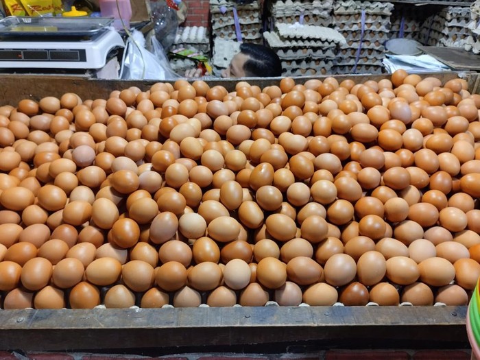 Harga Telur Makin Mahal