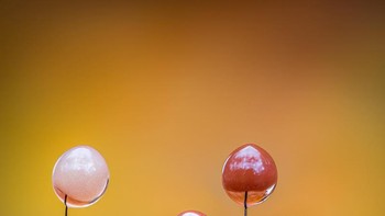 Finalis – karya Barry Webb FRPS Foto: The Garden Photographer of the Year Awards