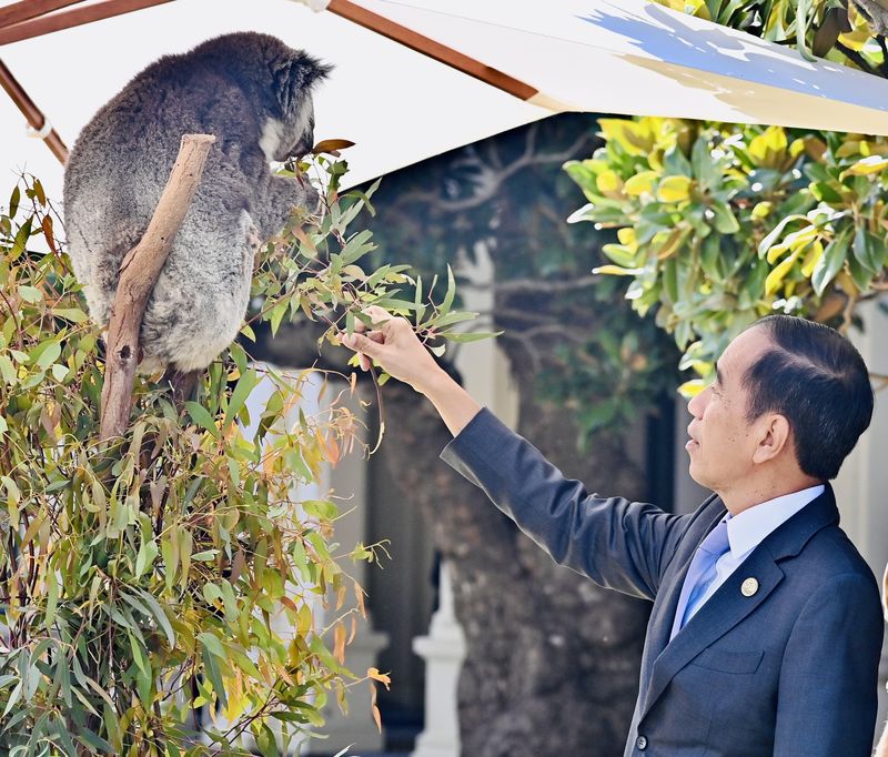 Jokowi di Australia