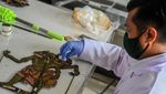 Melihat Perawatan Koleksi Museum Wayang dan Tekstil