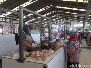 Harga Daging Ayam di Lamongan Melonjak Jelang Ramadan, Pembeli Turun