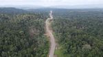 Penampakan Proyek Jalan Baru yang Membelah Hutan Lebat di Papua Barat Penampakan Proyek Jalan Baru yang Membelah Hutan Lebat di Papua Barat