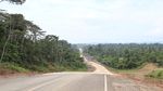 Penampakan Proyek Jalan Baru yang Membelah Hutan Lebat di Papua Barat Penampakan Proyek Jalan Baru yang Membelah Hutan Lebat di Papua Barat