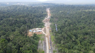 Penampakan Proyek Jalan Baru yang Membelah Hutan Lebat di Papua Barat