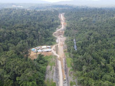 Penampakan Proyek Jalan Baru yang Membelah Hutan Lebat di Papua Barat