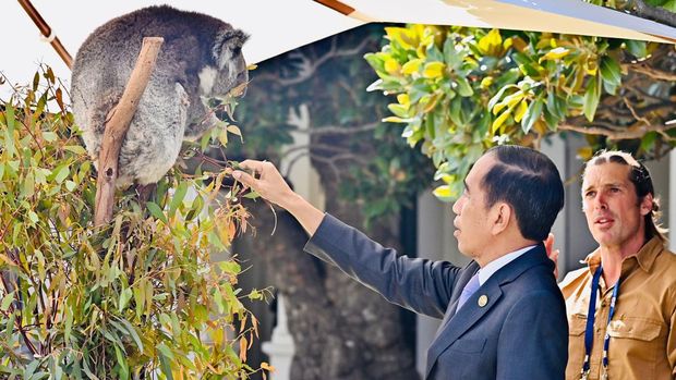Presiden Joko Widodo (Jokowi) menghadiri jamuan makan siang Konferensi Tingkat Tinggi (KTT) ASEAN - Australia di Government House Victoria, Rabu (6/3/2024). (Dok. Biro Setpres)
