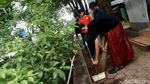 Suasana Ponpes Khoirur Rooziqiin yang Aksesnya Tertutup dari Segala Penjuru