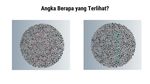 Tes Buta Warna, Anak IPA Harusnya Benar Semua