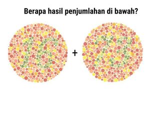 Tes Buta Warna, Anak IPA Harusnya Benar Semua