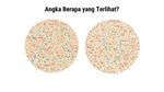 Tes Buta Warna, Anak IPA Harusnya Benar Semua