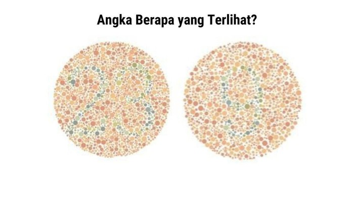 Tes Buta Warna, Anak IPA Harusnya Benar Semua