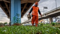 Urban farming ini bertujuan mendukung program ketahanan pangan dari pemerintah. 