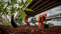 Seorang petugas penanganan prasarana dan sarana umum (PPSU) Cipinang Melayu menyiram tanaman cabai rawit di bawah jembatan tol Becakayu (Bekasi-Cawang-Kampung Melayu), Jakarta, Selasa (5/3/2024).