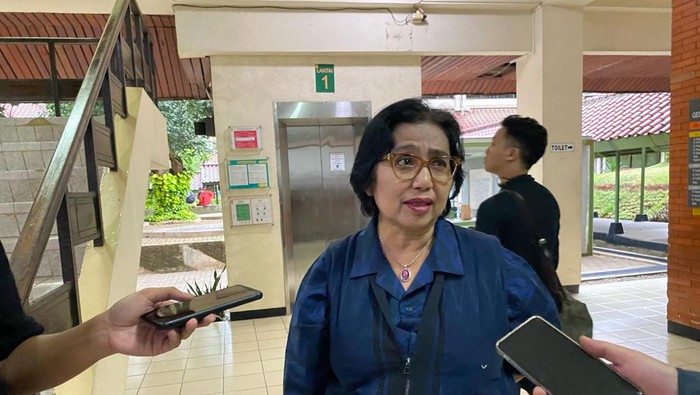 Anggota DPR F-NasDem Irma Chaniago (Tina/detikcom)