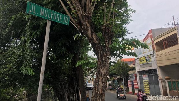 Asal usul Mulyorejo
