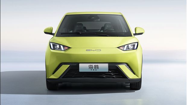 BYD Dolphin Mini (Seagull)