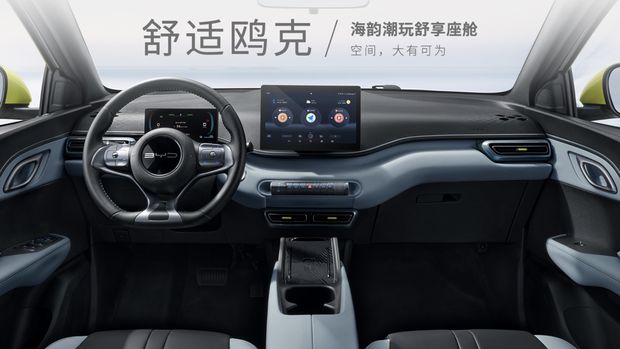 BYD Dolphin Mini (Seagull)