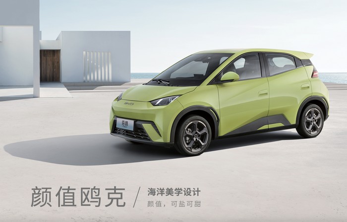 BYD Dolphin Mini (Seagull)