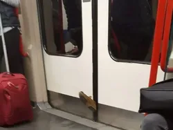 Deretan Foto Kesialan yang Bikin Elus Dada, Kamu Pernah Mengalami?