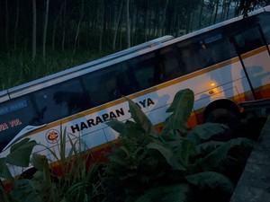 Bus Harapan Jaya Terperosok ke Sawah Usai Tabrak Innova di Kediri