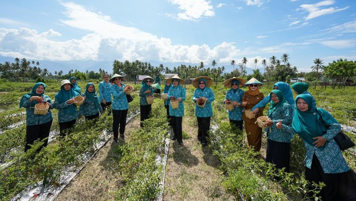 Kemendagri