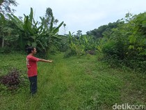 Viral ABG Lelaki di Cirebon Dirundung Teman, Dipukuli-Ditendang