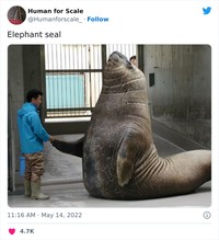 Manusia Juga Makhluk Paling Kecil di Bumi