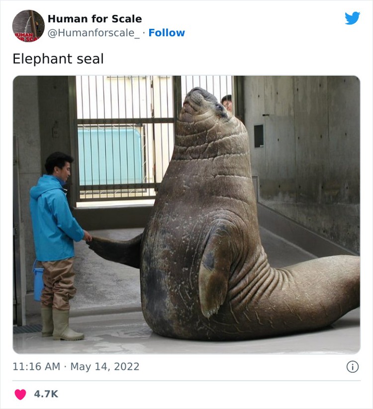 Manusia Juga Makhluk Paling Kecil di Bumi