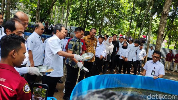 Menteri KP, Sakti Wahyu Trenggono saat meninjau kolam lele di Koperasi Mina Mulya Maju Mandiri, Padukuhan Klampok, Kalurahan Kalitekuk, Kapanewon Semin, Kabupaten Gunungkidul, Kamis (7/3/2024).