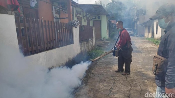 Petugas melakukan fogging di Palembang