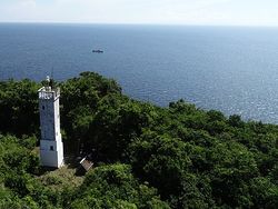 Pulau Ular yang Misterius, Nekat Datang Taruhannya Nyawa!
