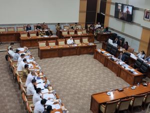 Komisi III DPR Setujui Naturalisasi Pesepakbola Thom Haye-Maarten Paes