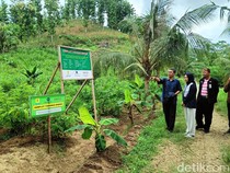 IPB Kembangkan Bahan Bakar PLTU Ramah Lingkungan Pengganti Batu Bara