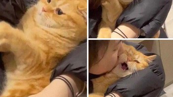 Duh, gendongnya yang bener dong bu. Foto: Boredpanda