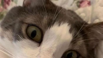 Kirim PAP dulu ke ayang. Foto: Boredpanda