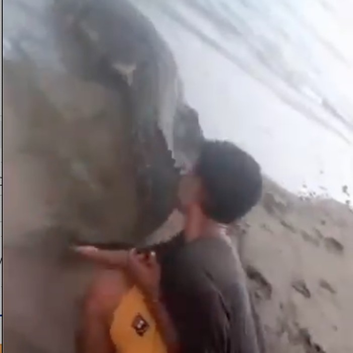 Viral video buaya muara disebut-sebut berkeliaran di Pantai Labuan Bajo, NTT.