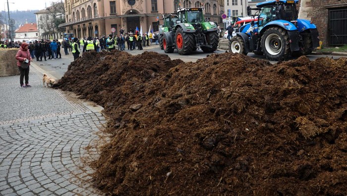 Aksi Petani Buang Kotoran di Depan Kantor Pemerintahan Ceko A man demonstrates in front of government office, during a protest against European Union agricultural policies, grievances shared by farmers across Europe, in Prague, Czech Republic, March 7, 2024. REUTERS/Eva Korinkova