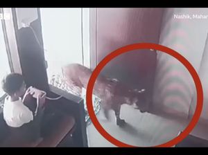 Berani! Anak Kecil Kurung Macan Tutul yang Tiba-tiba Masuk Kantor