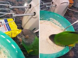 Detik-detik Sebelum Bencana Terjadi Terekam Kamera