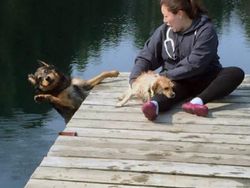 Detik-detik Sebelum Bencana Terjadi Terekam Kamera